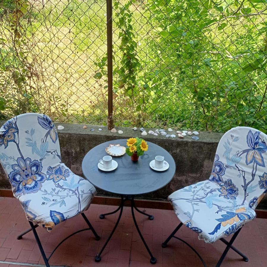 Beatiful Modern Flat Venice Centre With Private Lounge Green Area Relax Экстерьер фото